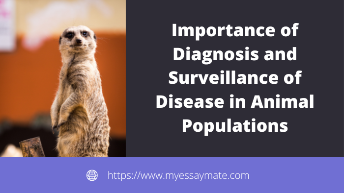Diagnosis and Surveillance of Disease in Animal Populations